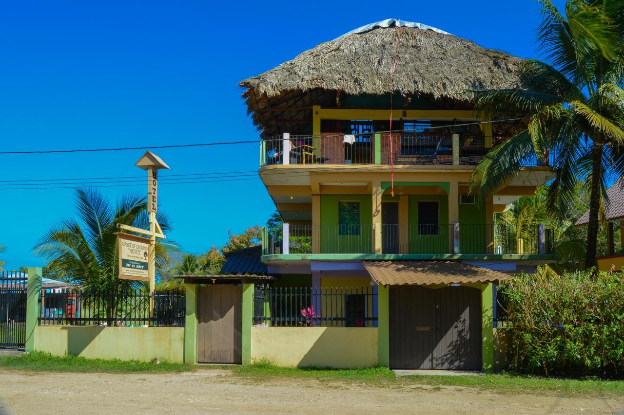 A Piece Of Ground Punta Gorda Exterior foto
